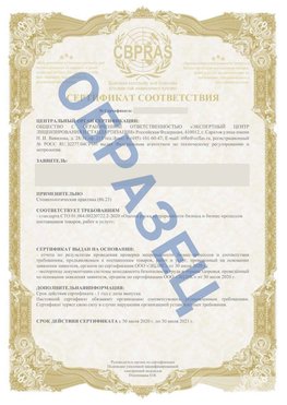 Образец Сертификат СТО 01.064.00220722.2-2020 Благовещенск Сертификат СТО 01.064.00220722.2-2020 